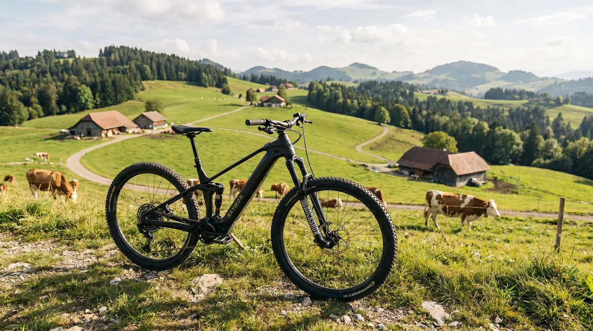 Raymon Velos kaufen. Premium-Bikes ohne Showroom-Aufschlag in der Schweiz
